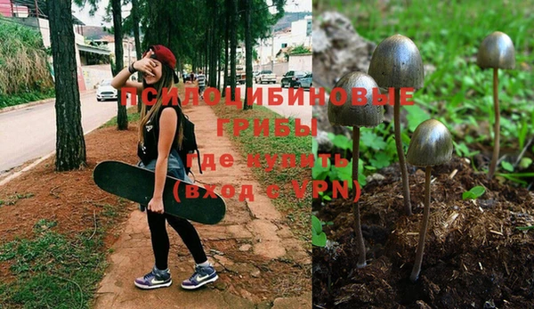 MESCALINE Верхний Тагил